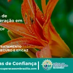 Clínica de Recuperação em Itapoã - DF | Internação 24h