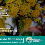 Clínica de Recuperação Próximo ao Arapoanga (Planaltina) - Planaltina DF