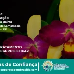 Clínica de Recuperação Próximo ao Área Rural de Samambaia - Samambaia DF
