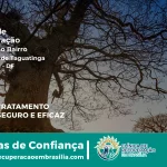 Clínica de Recuperação Próximo ao Área Rural de Taguatinga - Taguatinga DF