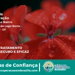 Clínica de Recuperação Próximo ao Área Rural do Lago Norte - Lago Norte DF