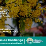 Clínica de Recuperação Próximo ao Área Rural do Paranoá - Paranoá DF