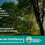 Clínica de Recuperação Próximo ao Ceilândia Norte (Ceilândia) - Ceilândia DF