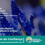 Clínica de Recuperação Próximo ao Estância Mestre D'Armas V (Planaltina) - Planaltina DF