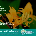 Clínica de Recuperação Próximo ao Paranoá - Paranoá DF