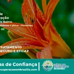 Clínica de Recuperação Próximo ao Portal do Amanhecer V (Privê - Planaltina) - Planaltina DF