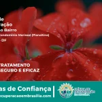 Clínica de Recuperação Próximo ao Residencial Condomínio Marissol (Planaltina) - Planaltina DF