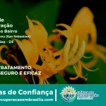 Clínica de Recuperação Próximo ao São Bartolomeu (São Sebastião) - São Sebastião DF