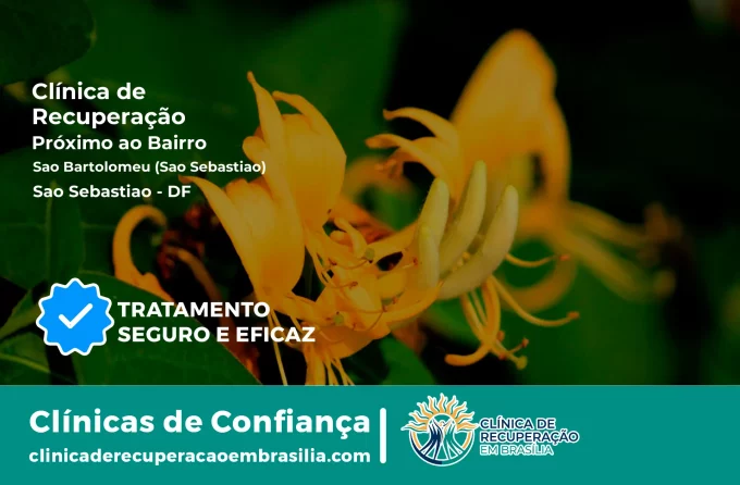 Clínica de Recuperação Próximo ao São Bartolomeu (São Sebastião) - São Sebastião DF