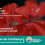 Clínica de Recuperação Próximo ao Setor de Mansões Mestre D'Armas (Planaltina) - Planaltina DF