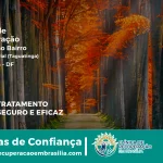 Clínica de Recuperação Próximo ao Setor Industrial (Taguatinga) - Taguatinga DF