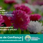 Clínica de Recuperação Próximo ao Setor Mansões Itiquira (Planaltina) - Planaltina DF