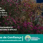 Clínica de Recuperação Próximo ao Setor Militar Urbano - Brasília DF