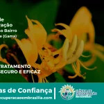 Clínica de Recuperação Próximo ao Setor Oeste (Gama) - Gama DF