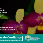 Clínica de Recuperação Próximo ao Zona Industrial - Brasília DF