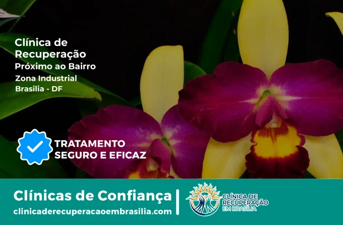 Clínica de Recuperação Próximo ao Zona Industrial - Brasília DF
